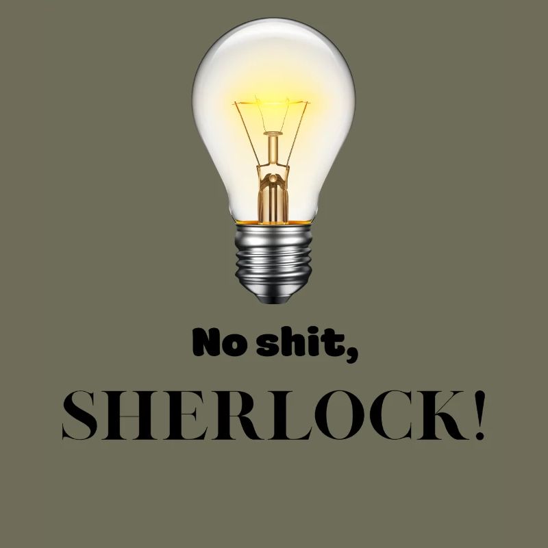 Pas de merde Sherlock !