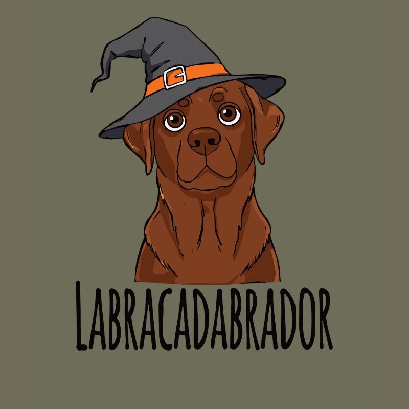Conception de chapeau de sorcière Labracadabrador