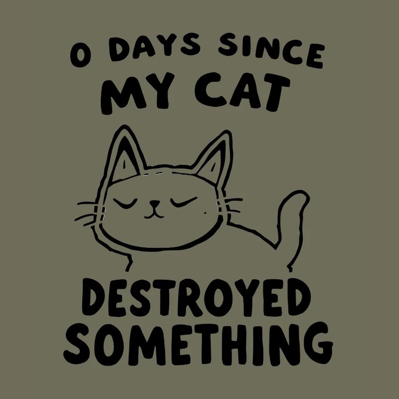 0 Days Since My Cat Destroyed Something Fun
