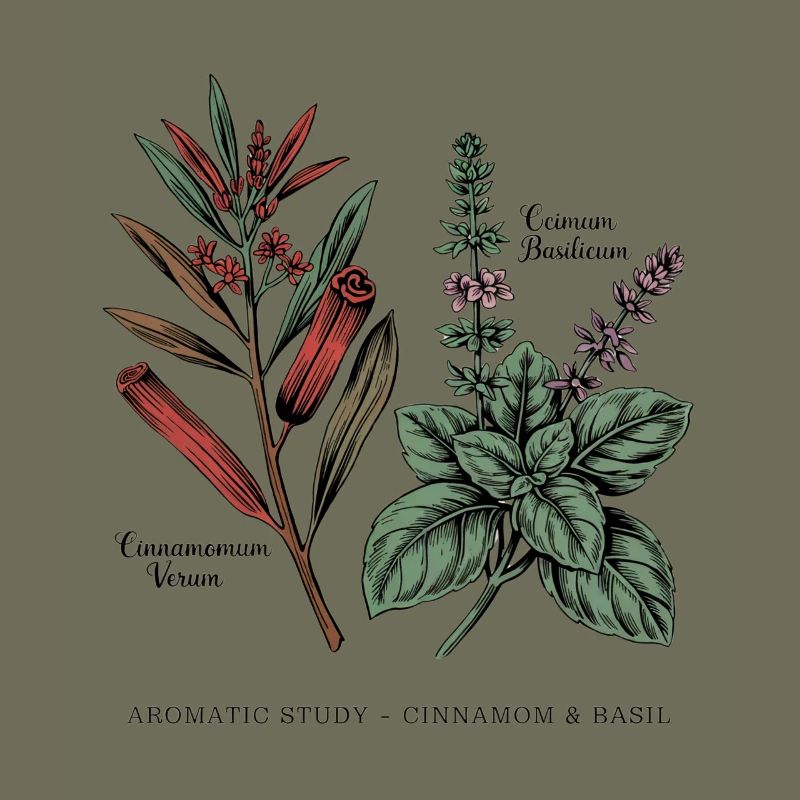 Cannelle & Basilic - Botanique