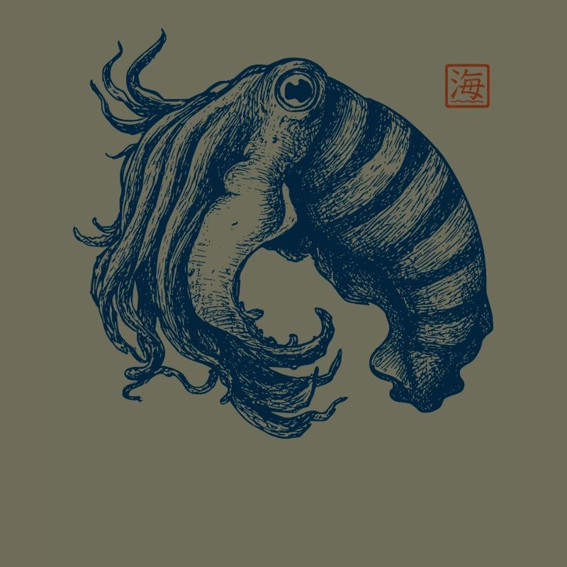 Seiche