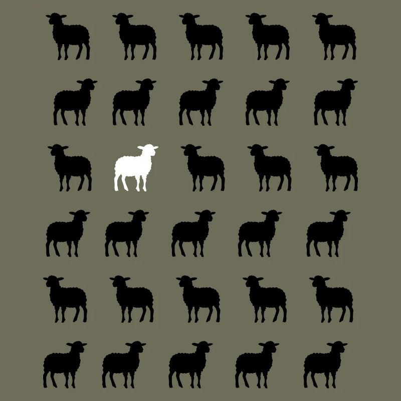 Schwarz-Weißes Schaf
