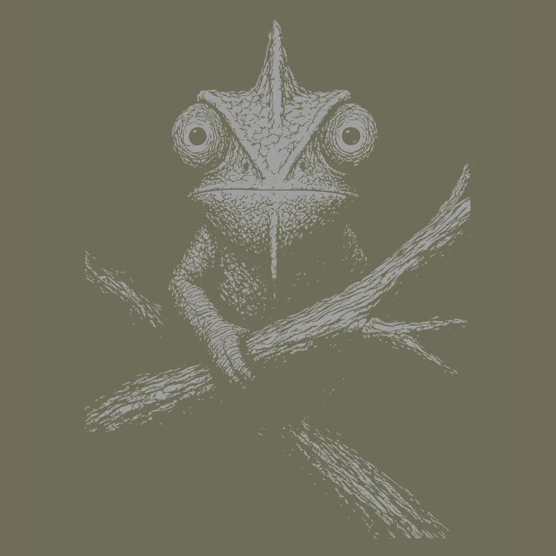 Serious Chameleon