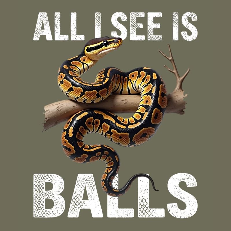 Königspython Schlangen Liebhaber Terrarium Python