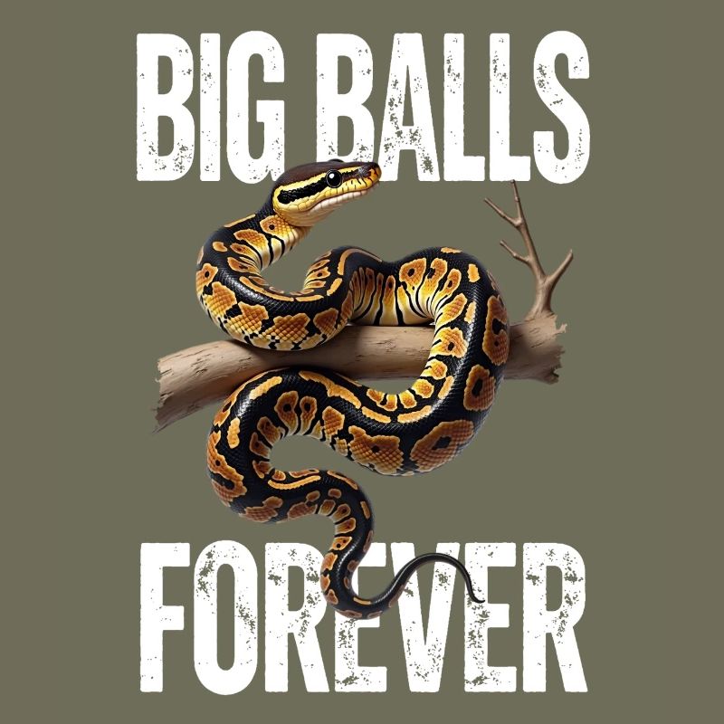 Python roi Serpents Amateurs de terrarium Python