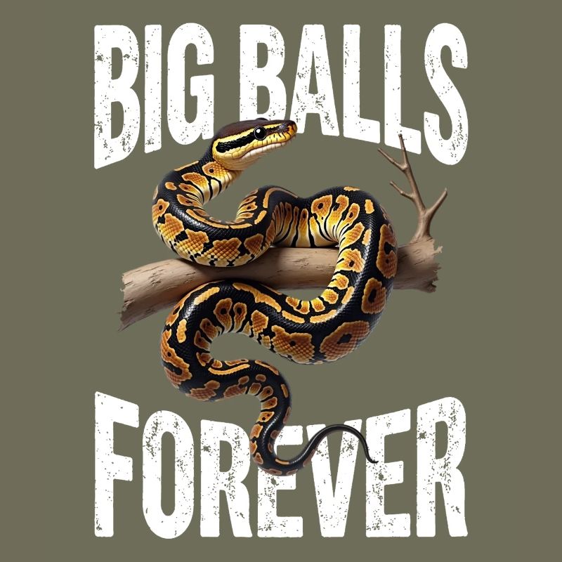 Python roi Serpents Amateurs de terrarium Python