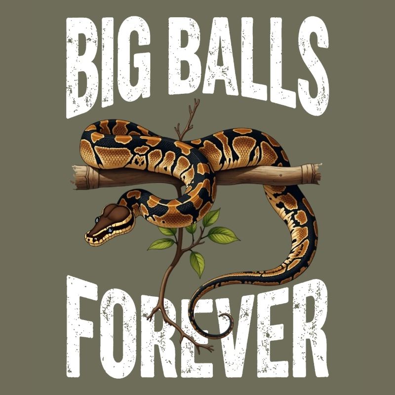Python roi Serpents Amateurs de terrarium Python