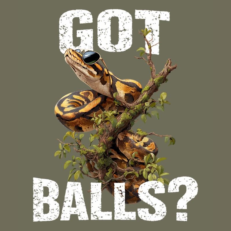 Königspython Schlangen Liebhaber Terrarium Python