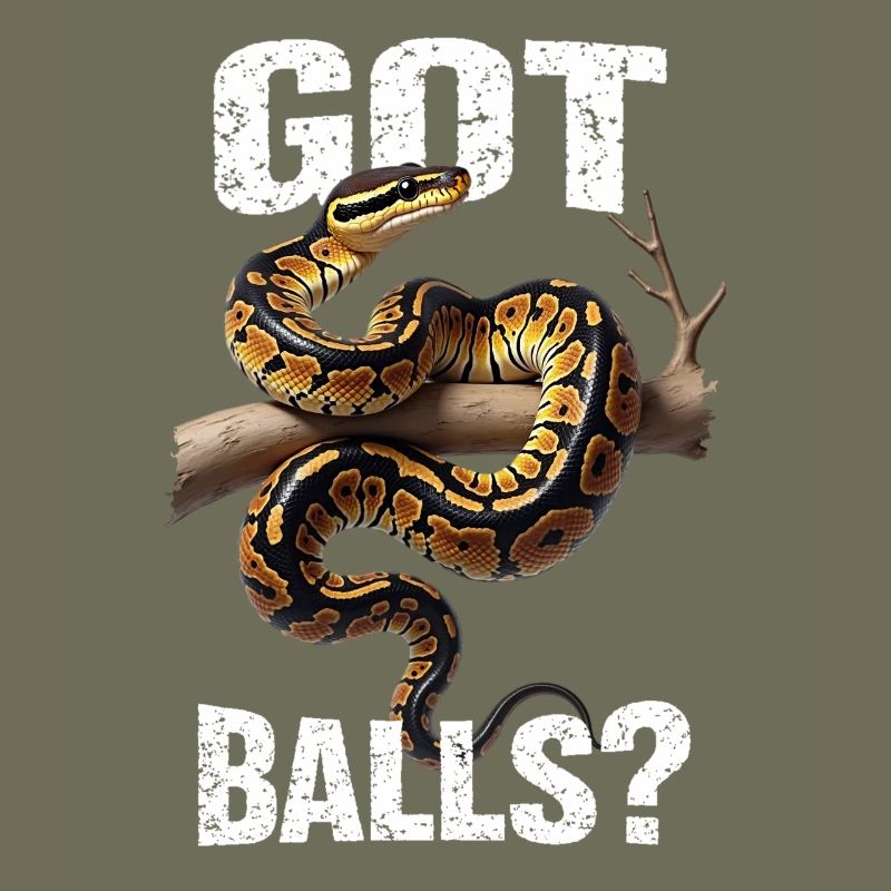 Python roi Serpents Amateurs de terrarium Python