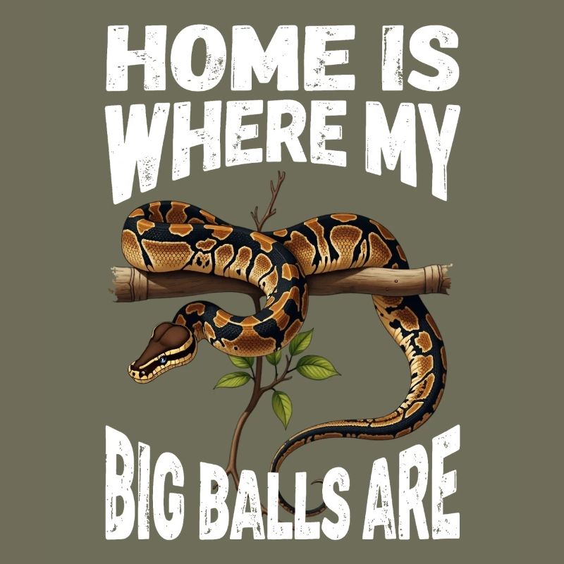 Python roi Serpents Amateurs de terrarium Python