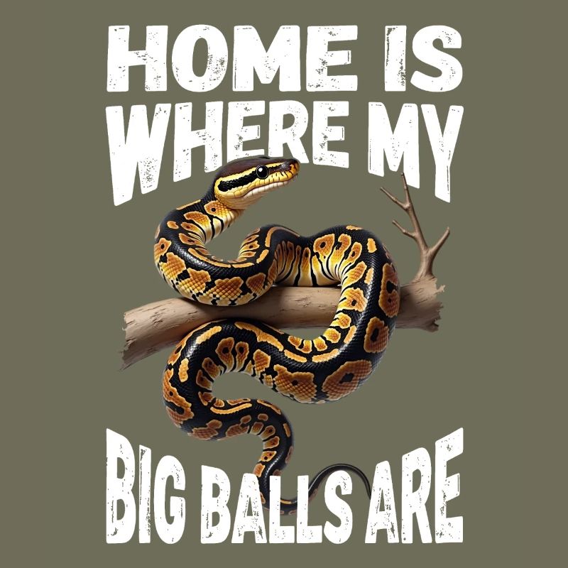 Königspython Schlangen Liebhaber Terrarium Python