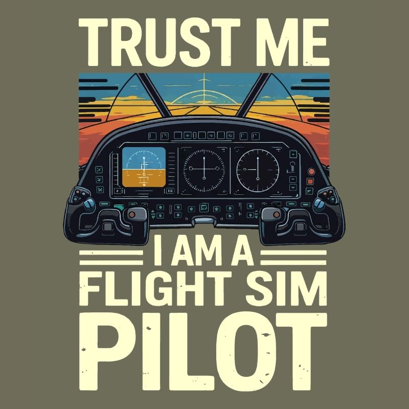 Vertrau mir ich bin ein Flugsimulatorpilot