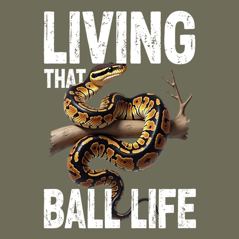 Königspython Schlangen Liebhaber Terrarium Python