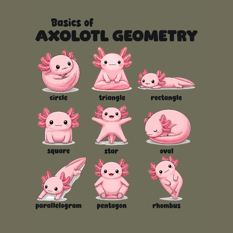 Axolotl Geometry Basics Funnier