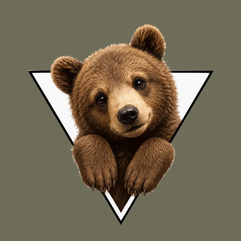 Bear cub in triangle