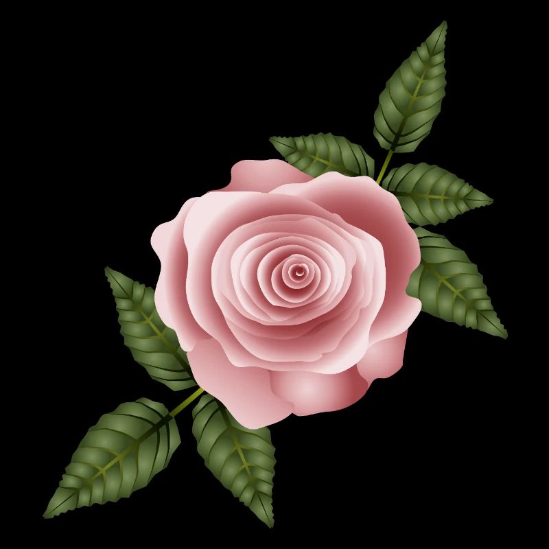 Rose délicate rose sombre avec des feuilles vertes élégantes