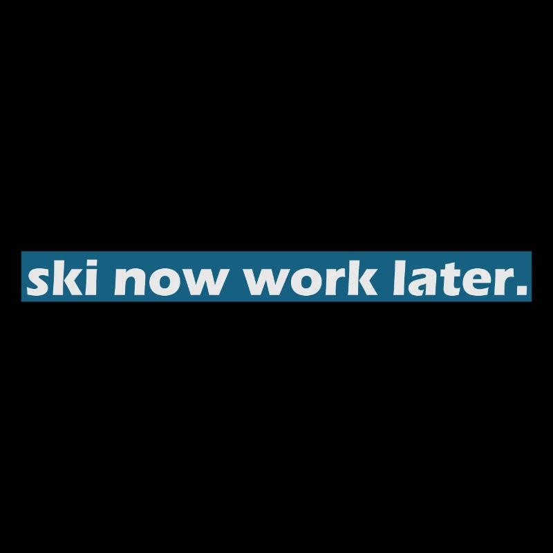 ski now