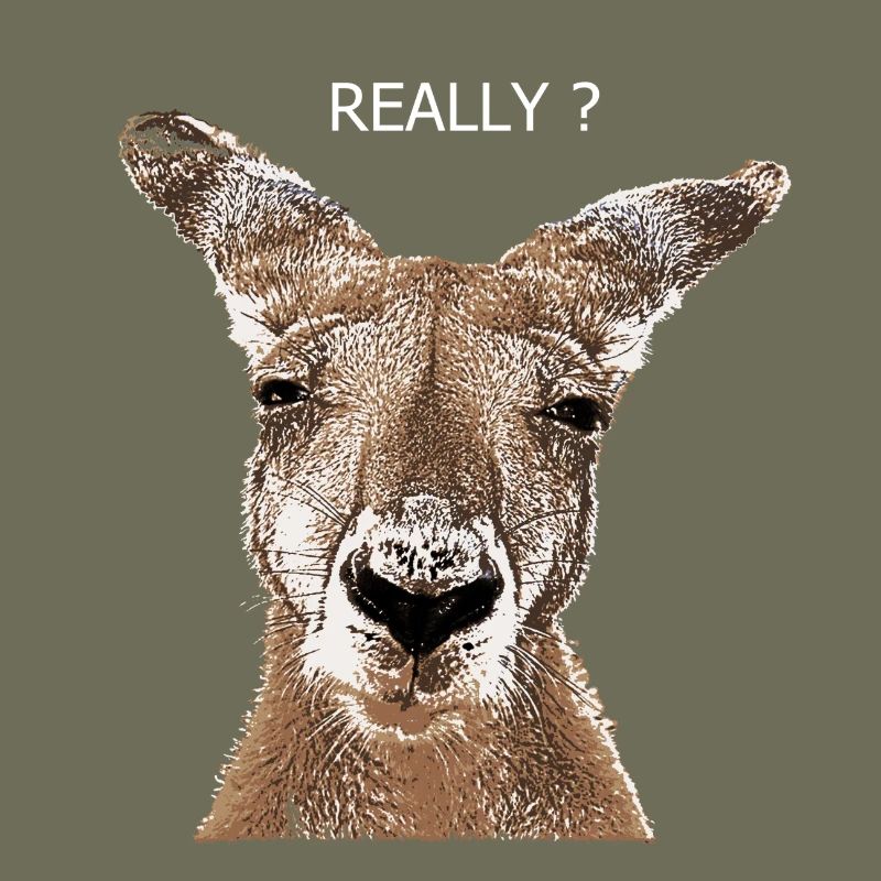 Kangaroo really?