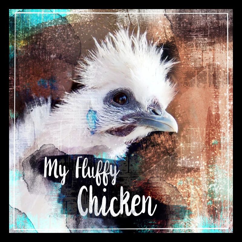 fluffy chicken poster