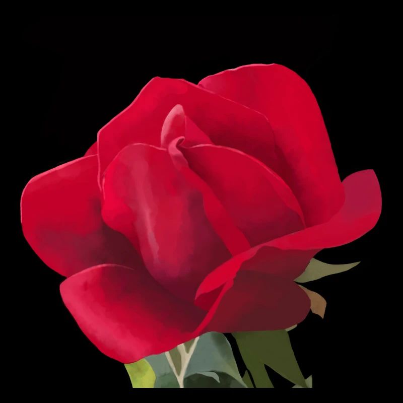 Rose rouge - Aquarelle