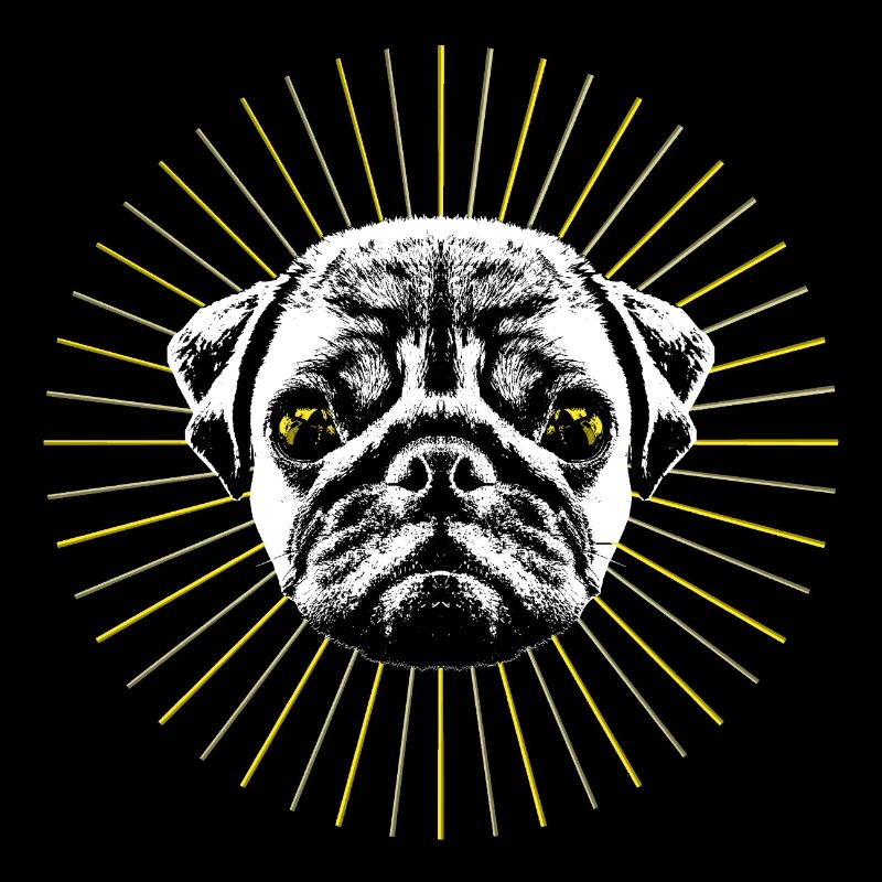 Holy Pug