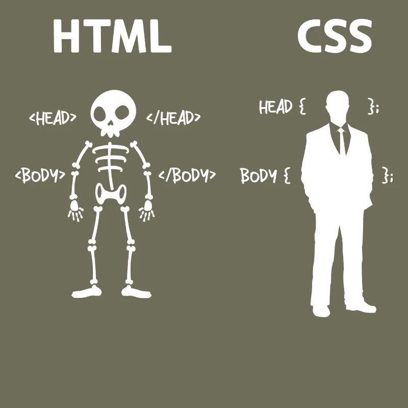 Code Css C++ Php Java Developer Code Skripting