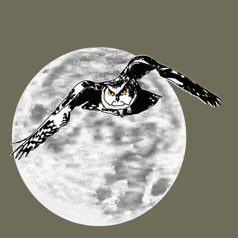 Hibou devant la lune