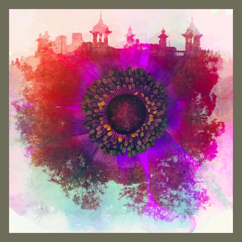 Abstract poppy