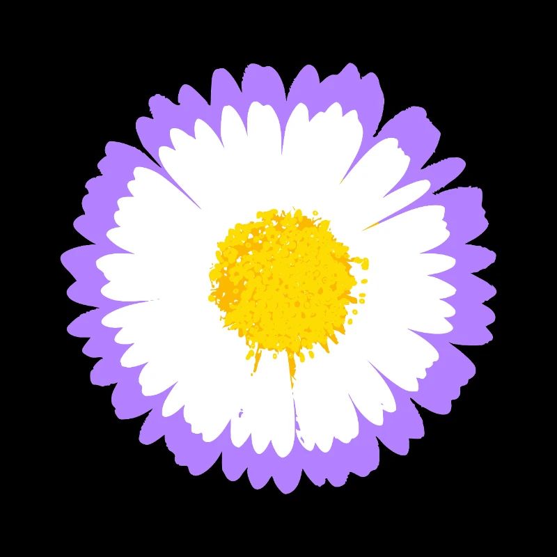Lila Daisy Bloom mit gelbem Kern