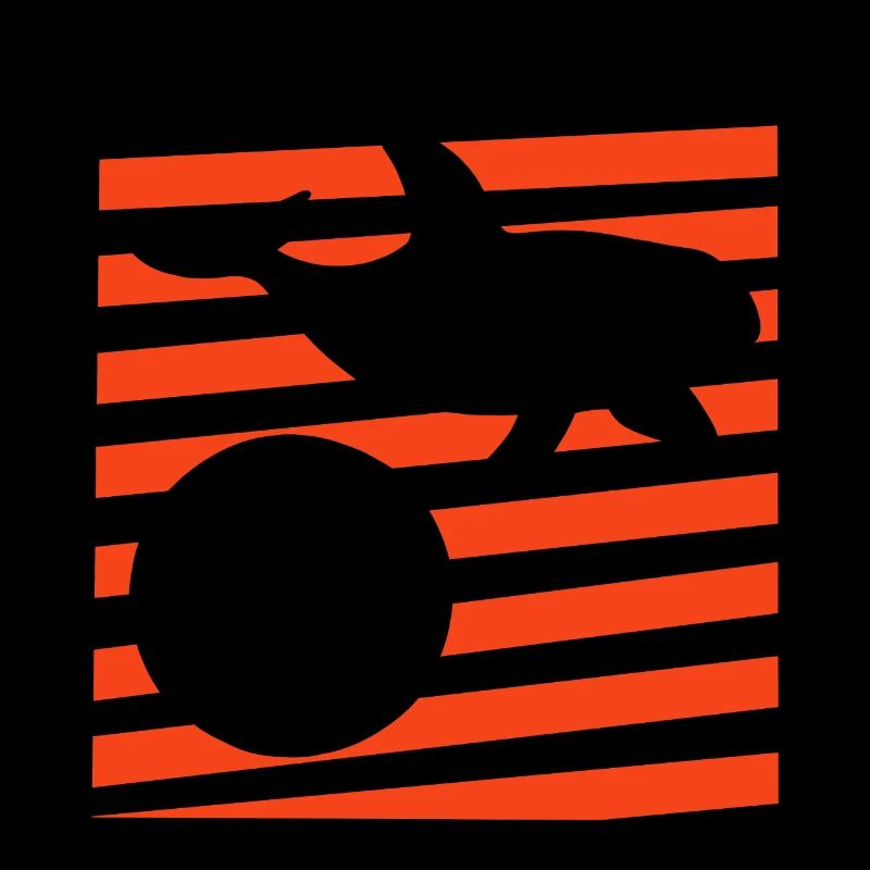 O wie Orca