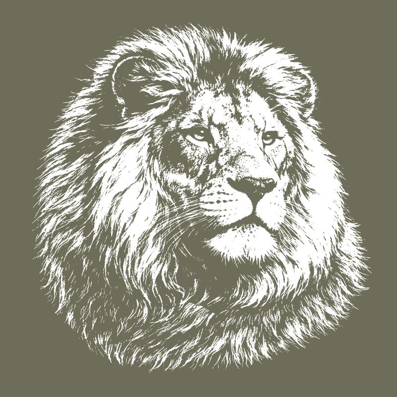 Leo – realistic black and white graphics