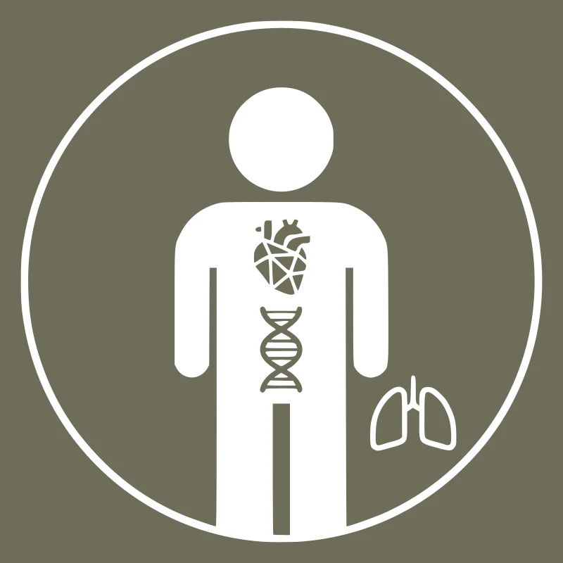 Mensch Anatomie Körper Icon