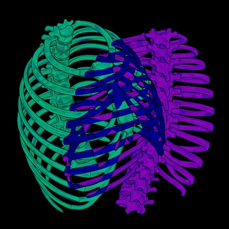 Dual chromatic ribcage