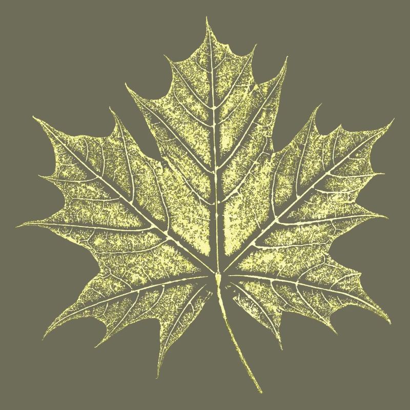Maple Leaf / Botany - Natural