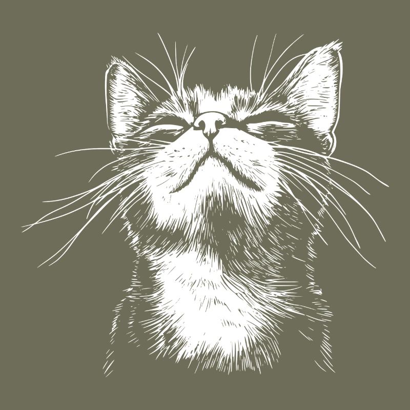 Funny Cat Face