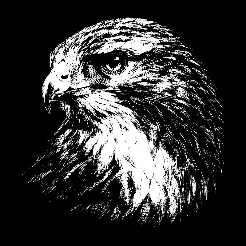 Falcon – Grafik mit weißem Bleistift