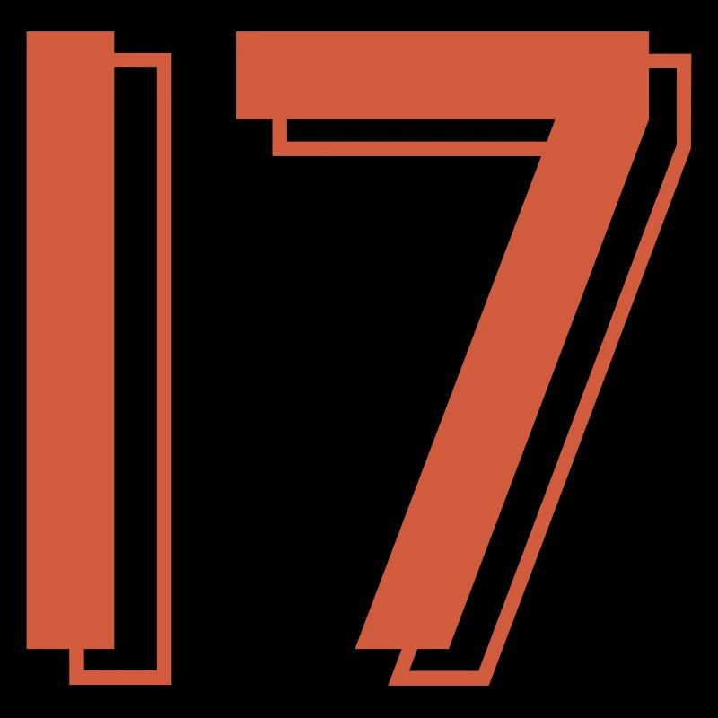 17 Trikotnummer