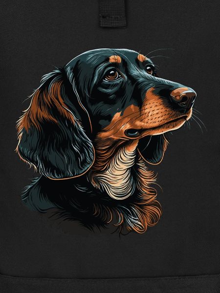 Dachshund