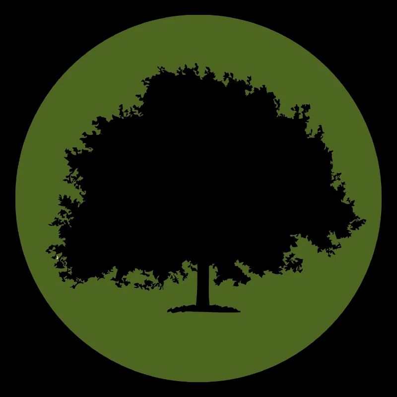 Baum