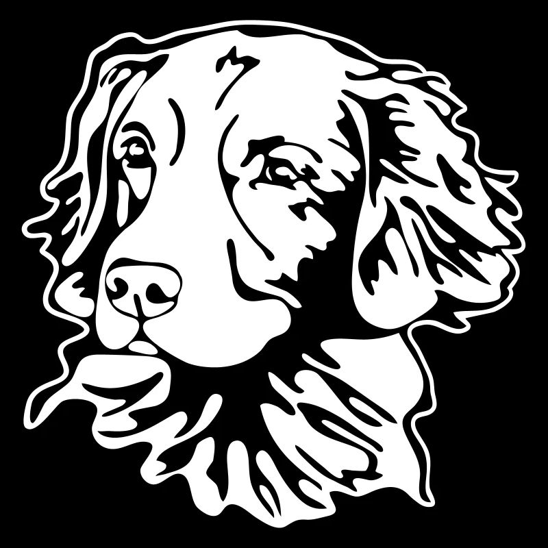 Nova Scotia Duck Tolling Retriever PORTRAIT