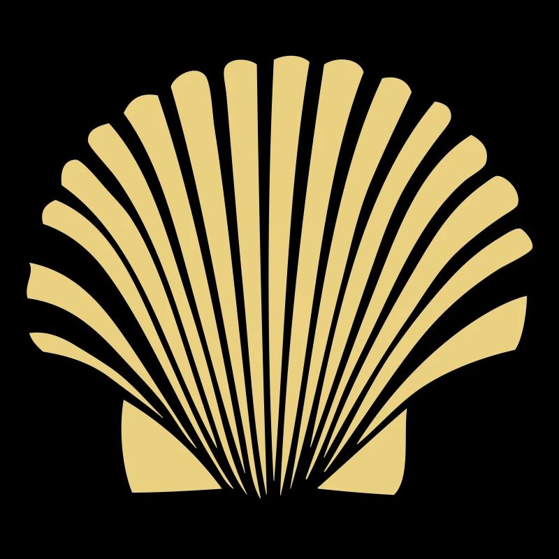 coquille saint jaques coquillage de Compostelle