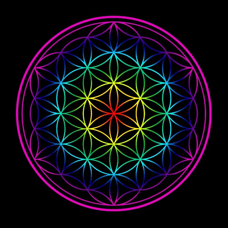 Fleur arc-en-ciel de la Vie Fleur de la Vie