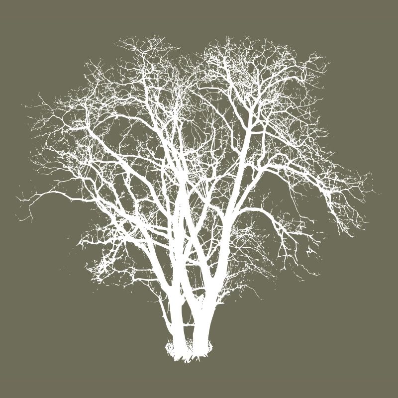 Tree Silhuette