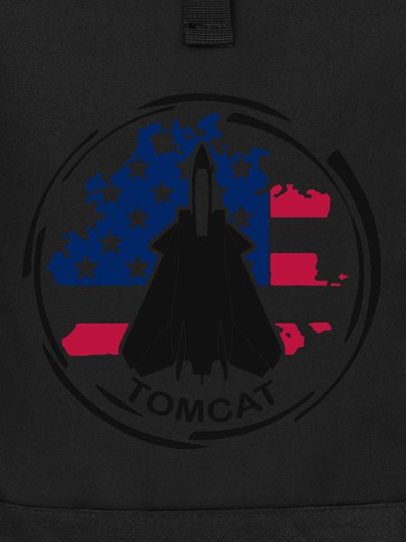 Plane F14 Tomcat