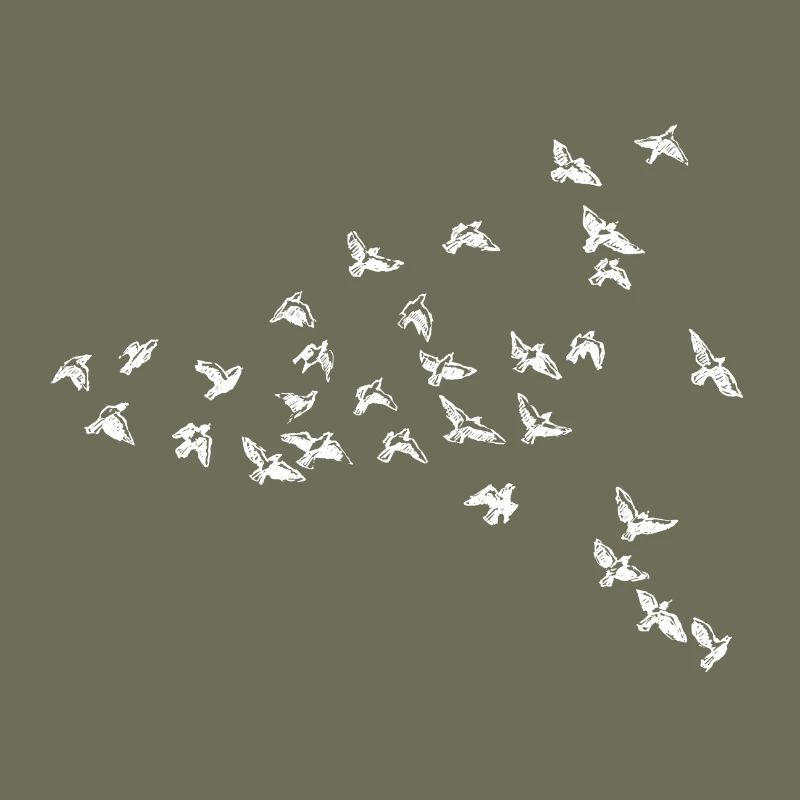 oiseaux