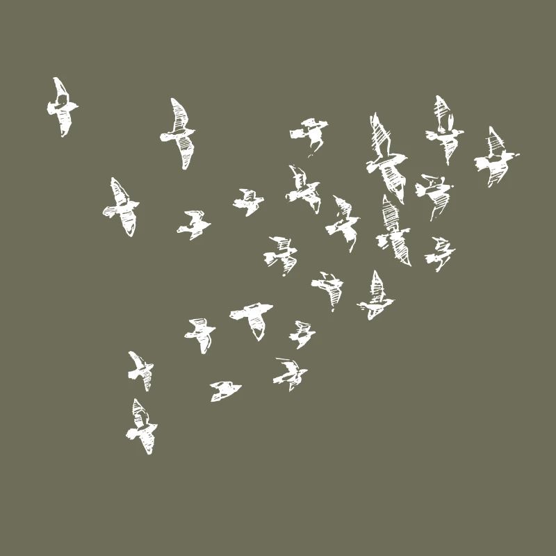 oiseaux