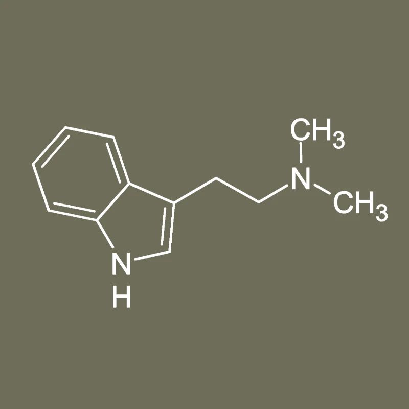 DMT