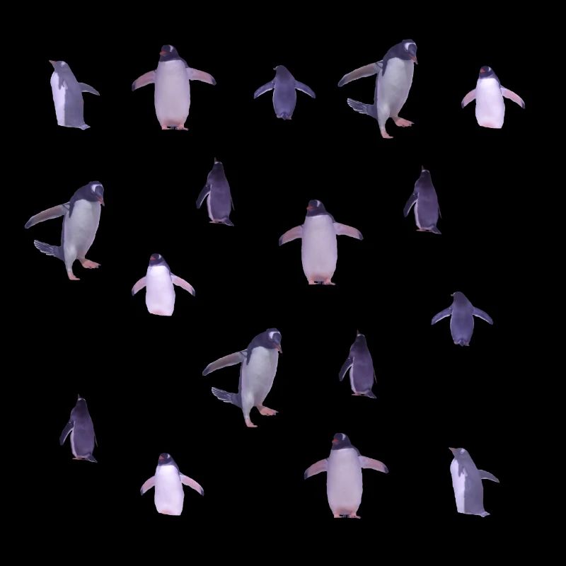 Pingouins
