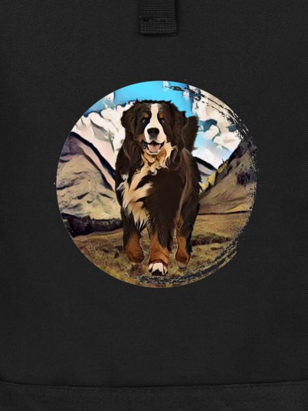 Bernese mountain dog