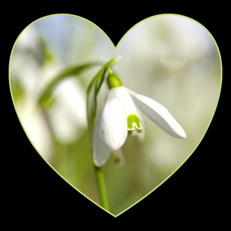 Snowdrop Heart Design